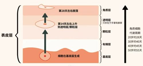 2024祛斑段位榜 寶藏級(jí)產(chǎn)品親測(cè)，還你干凈無瑕肌膚